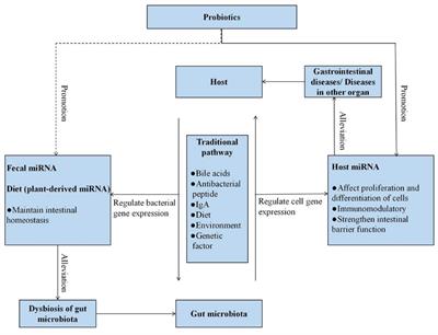 Probiotics and MicroRNA: Their Roles in the Host–Microbe Interactions